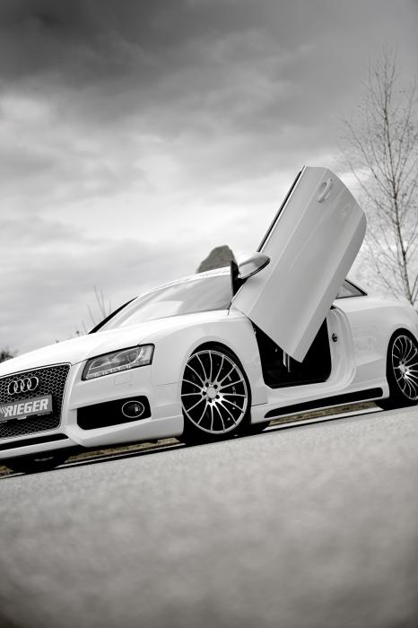 /var/www/rieger-event.de/images/gallery/Audi A5 (B8) Coupe
